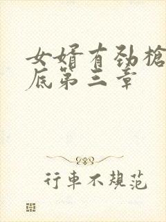 女婿有劲枪枪到底第三章封面