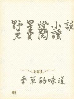 野星灯小说全文免费阅读封面