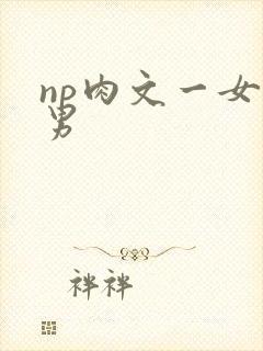 np肉文一女多男