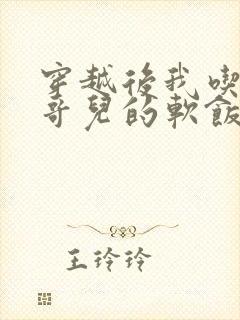 穿越后我吃到了哥儿的软饭炉山灰封面