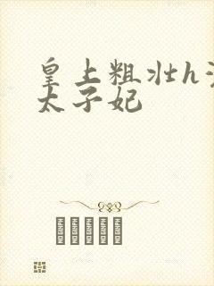 皇上粗壮h灌满太子妃