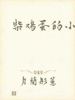 柴鸡蛋的小说