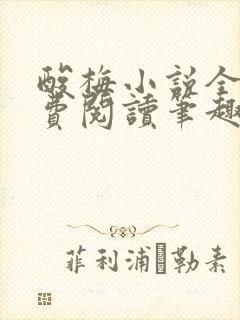 酸梅小说全文免费阅读笔趣阁