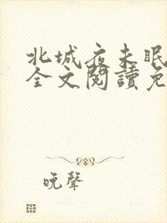 北城夜未眠小说全文阅读免费