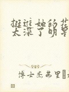 挺进她的花苞啊太深了明星小说封面