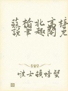 苏榆北高梓淇小说笔趣阁免费阅读