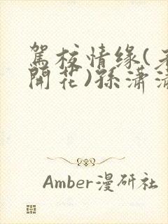 驾校情缘(老树开花)孙潇潇笔趣阁