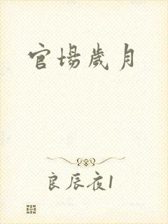官场岁月