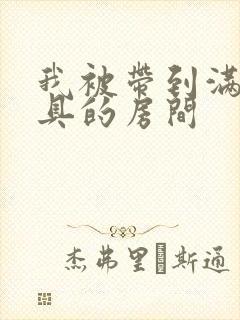 我被带到满是玩具的房间封面