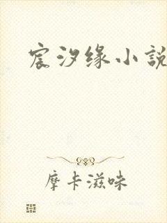 宸汐缘小说封面