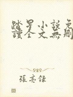 踏星小说免费阅读全文无删减