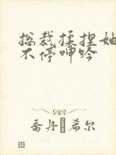 总裁揉捏她两乳不停呻吟封面