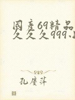 国产69精品久久久久999小说
