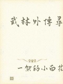 武林外传寻宝