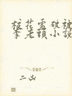 校花处破被灌满李老头小说