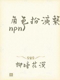 角色扮演系统(npn)