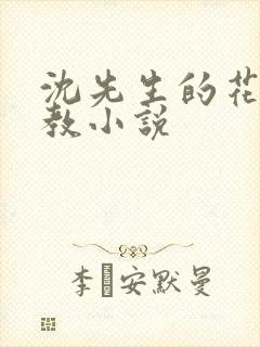 沈先生的花式调教小说