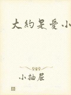 大约是爱小说