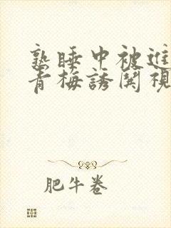 熟睡中被进了H青梅诱哄视频