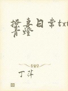 撩妻日常txt青灯