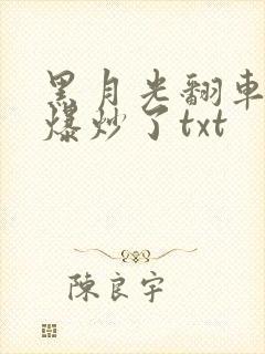 黑月光翻车后被爆炒了txt