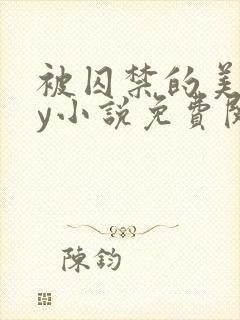 被囚禁的美人by小说免费阅读