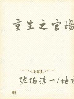 重生之官场风流