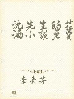 沈先生的花式调酒小说免费阅读