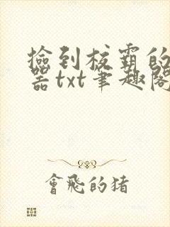 捡到校霸的遥控器txt笔趣阁