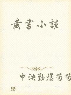 黄书小说