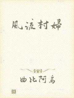 风流村妇封面