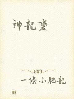 神龙变封面