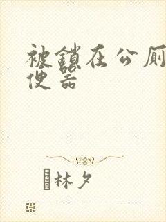 被锁在公厕当坐便器