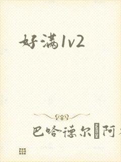 好满1v2