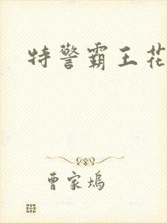 特警霸王花封面