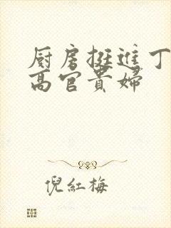 厨房挺进丁字裤高官贵妇