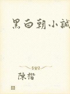 黑白朝小诚封面