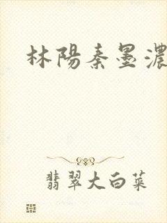 林阳秦墨浓度封面