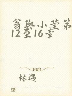 翁与小莹第十部12至16章