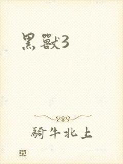 黑兽3