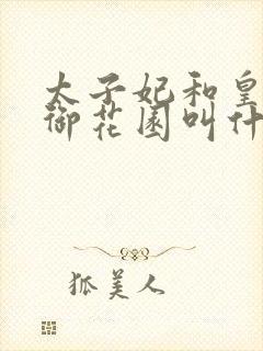 太子妃和皇帝在御花园叫什么小说封面