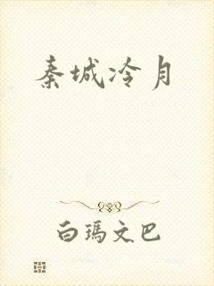 秦城冷月封面