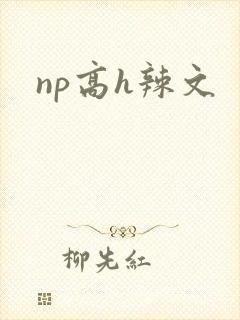 np高h辣文