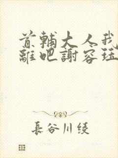 首辅大人我们和离吧谢容珏封面