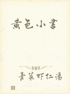 黄色小书