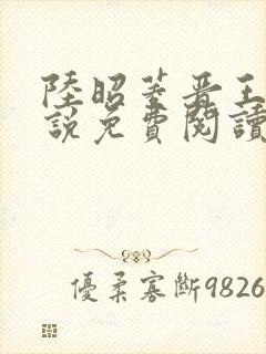 陆昭菱晋王的小说免费阅读