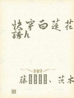 快穿白莲花的引诱h