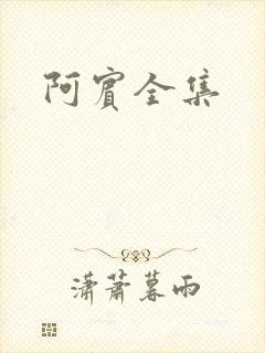 阿宾全集封面