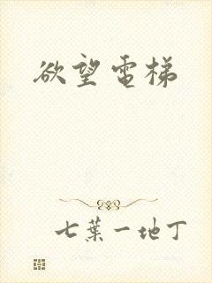 欲望电梯
