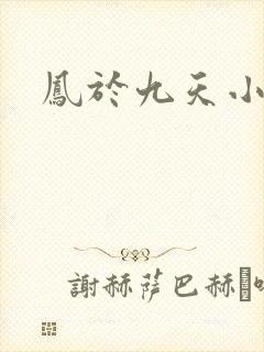 凤于九天小说
